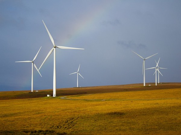 Tamil Nadu gets India's largest single-unit wind turbine generator