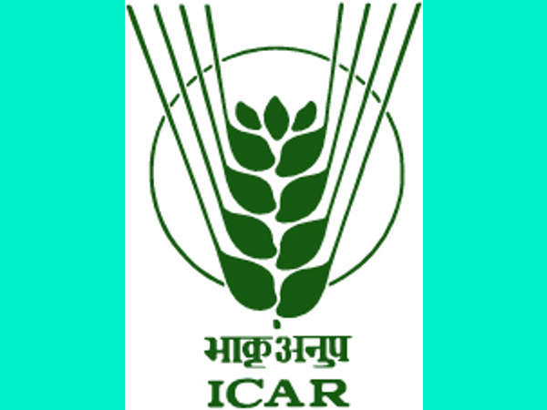 ICAR AIEEA PG PhD Rank Cards 2022 Out ICAR AIEEA PG PhD Rank Cards 2022 Out