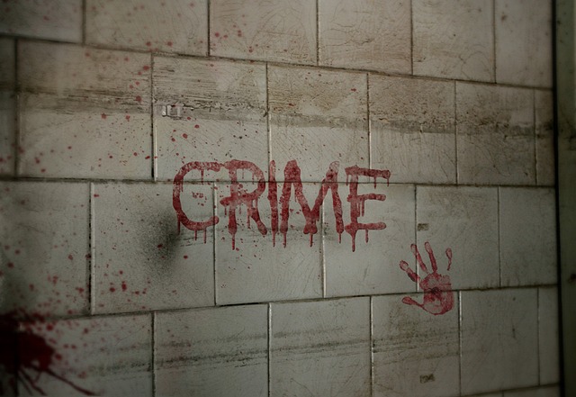 Top Forensic science colleges in India 2023 Top Forensic science colleges in India 2023