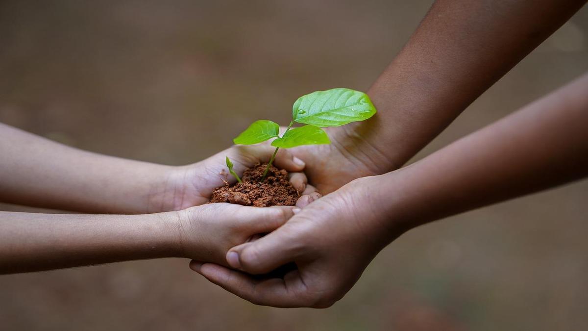 10 Things to Know About World Environment Day 10 Things to Know About World Environment Day