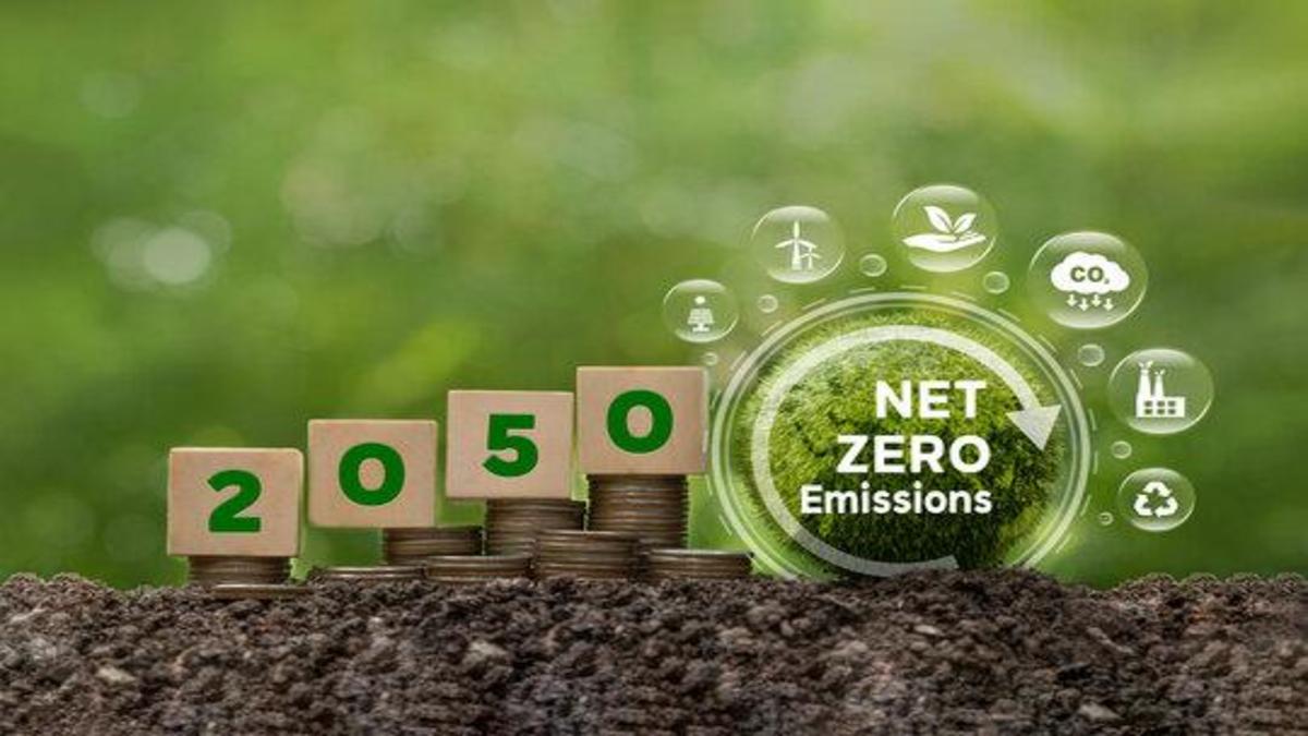 Net Zero by 2050: A Feasible Goal or a Greenwashing Slogan? - Vimarsana News