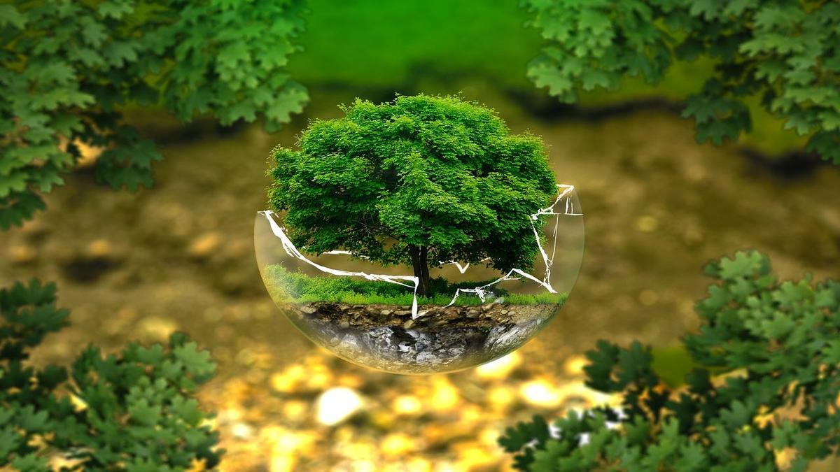 World Environment Day 2024; Date, Theme, History And Significance and more - Vimarsana News
