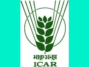 ICAR: Walk-in Interview For 46 Vacancies